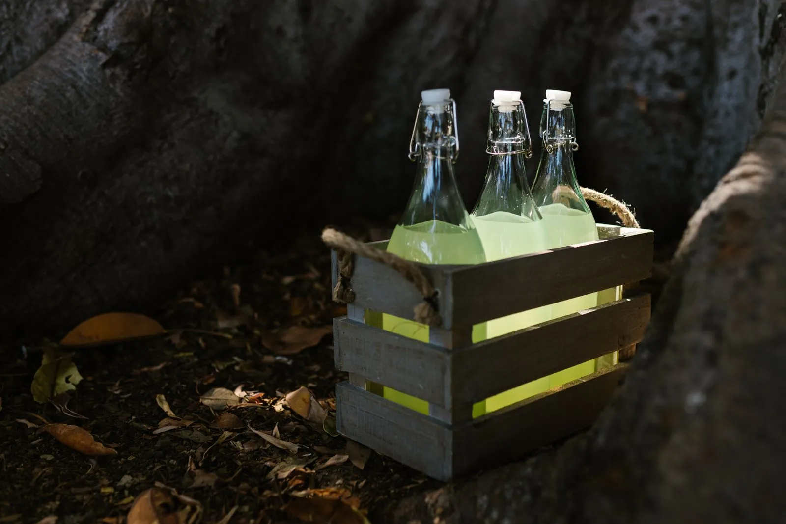 Cider Vinegar vs. Apple Cider Vinegar: What Labels Mean